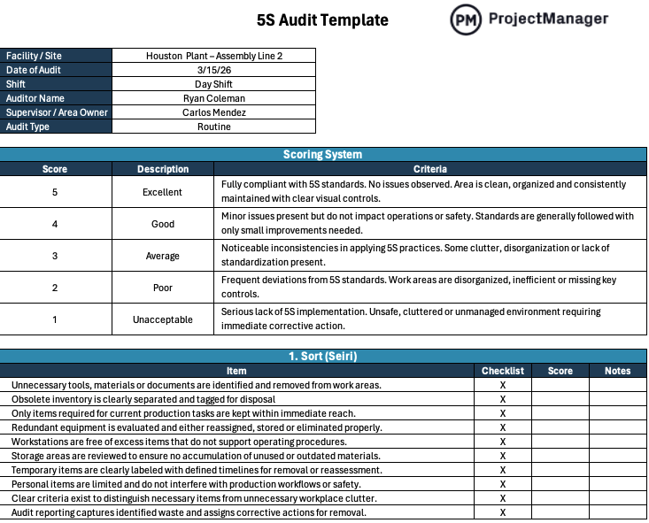 5S Audit Template for Excel